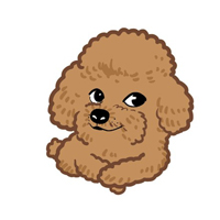 南小鸟精神污染,社会精神小伙图片,doge精神污染 ...