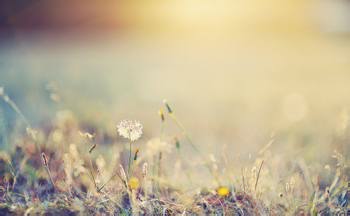 唯美好听的个性签名 年华荏苒念你如初_腾牛个