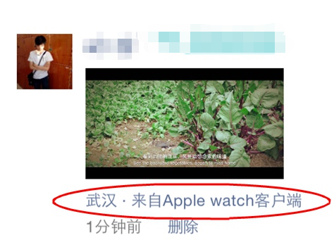 微信小尾巴显示apple watch方法 更改微信客户